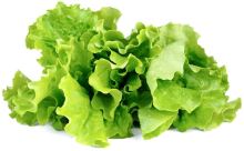 Click and Grow Hlávkový salát