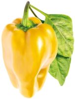 Click and Grow Sladká žlutá paprika