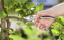 Gardena Zahradní nůžky BP 50 Premium