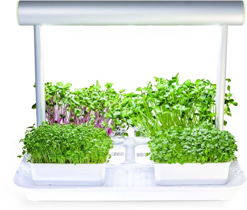 Microgreens by Leaf Learn Mini
